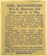 Newspaper clipping: Girl rat-catchers