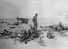 Godfrey Talbot surveys German wreckage after El Alamein battle.