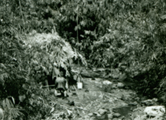 Hidden camp