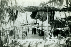 Hidden camp in the Far East