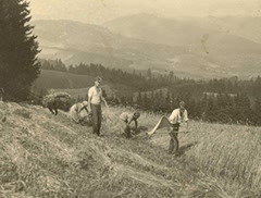 Here I am working on my farm at Rechberg