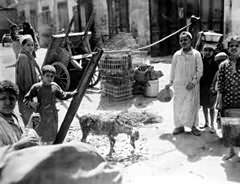 Cairo, January 1942.