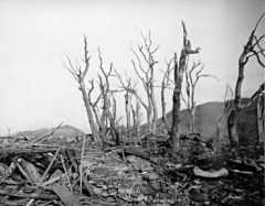 Bomb damage in Nagasaki "Showing the strange effect on trees" 