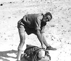 In the Western Desert